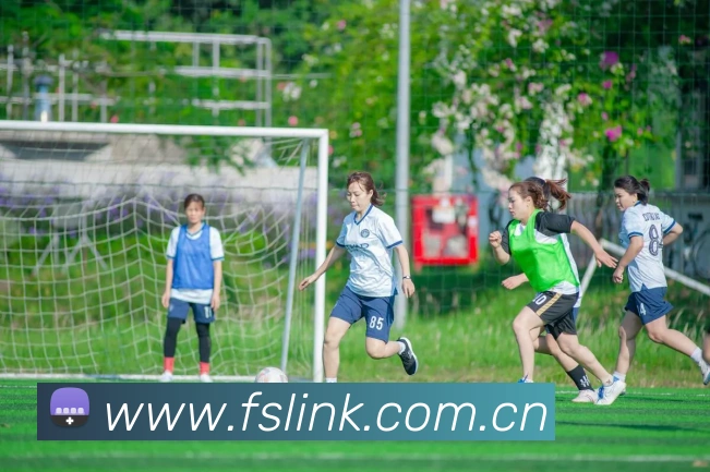 leyu乐鱼手机官网平台生态图